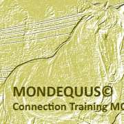 Equicoaching Conny Kadia MCT Mondequus Portugal - Oliveira do Hospital - Coaching de Bem-estar