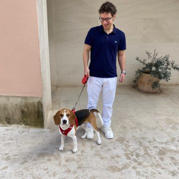 Martim Castro - Lisboa - Dog Sitting