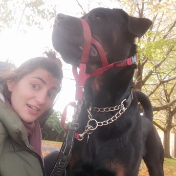 Micaela Bicudo - Óbidos - Katzenpension
