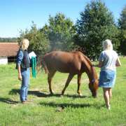 Equicoaching Conny Kadia MCT Mondequus Portugal - Oliveira do Hospital - Coaching de Carreira