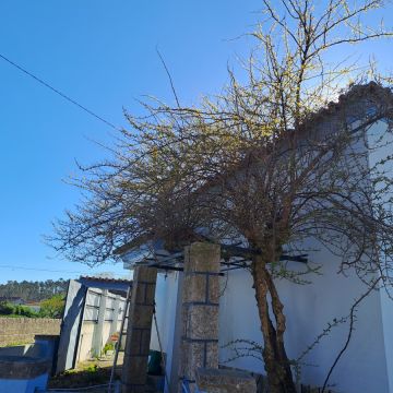 Rv remodelações - Leiria - Remodelação de Cozinhas
