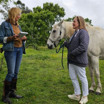 Equicoaching Conny Kadia MCT Mondequus Portugal - Oliveira do Hospital - Coaching Pessoal