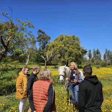 Coaching MCT Equicoaching Conny Kadia Portugal - Oliveira do Hospital - Coaching