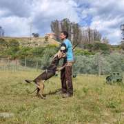 Bruno Rodrigues - Lisboa - Creche para Cães