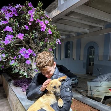 Caio Pinheiro - Lisboa - Dog Sitting