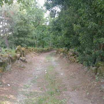 Alexandre Carvalho - Limpeza de Terrenos - Viseu - Jardinagem