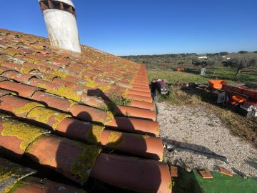 Roof Installation Professional