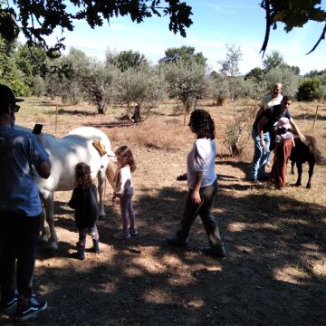 Coaching MCT Equicoaching Conny Kadia Portugal - Oliveira do Hospital - Life Coaching