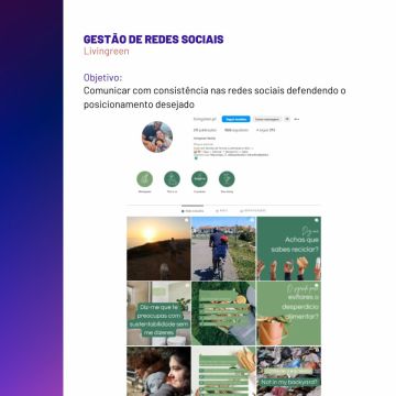 b_digital - Sintra - Marketing en redes sociales