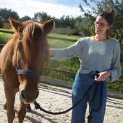 Coaching MCT Equicoaching Conny Kadia Portugal - Oliveira do Hospital - Health and Wellness coaching