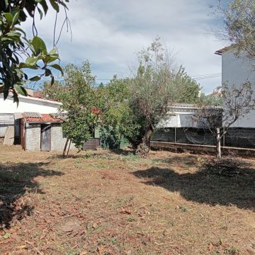 Alexandre Carvalho - Limpeza de Terrenos - Viseu - Remoção de Arbustos