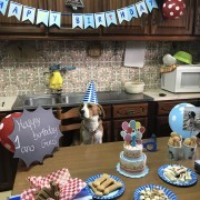 Partyland - Loures - Decorações com Balões