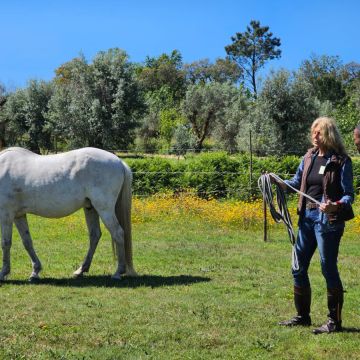 Equicoaching Conny Kadia MCT Mondequus Portugal - Oliveira do Hospital - Coaching de Bem-estar