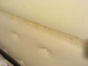 Upholstery Service