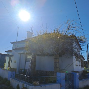 Rv remodelações - Leiria - Nivelação de Terreno - Grande Dimensão (mais de 1 hectar)