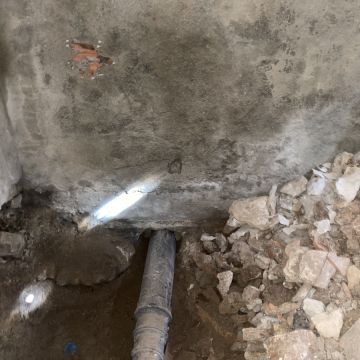 Bert Engenharia e Construção - Montijo - Müllbeseitigung