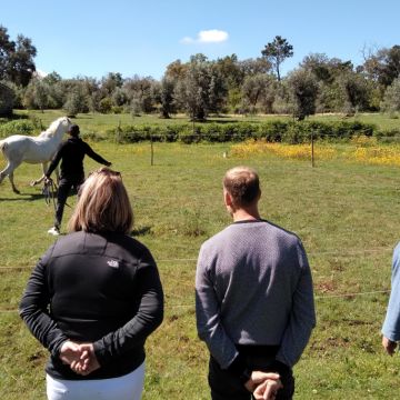 Equicoaching Conny Kadia MCT Mondequus Portugal - Oliveira do Hospital - Coaching de Carreira