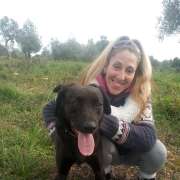 Pet sitting/Dog walking /creche canina Peniche e arredores - Amadora - Banhos e Tosquias para Animais