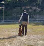 Bruno Rodrigues - Lisboa - Treino Animal e Modificação Comportamental (Não-canino)