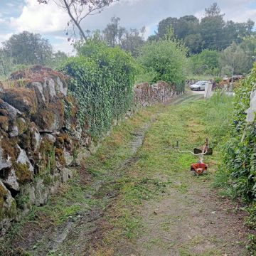 Alexandre Carvalho - Limpeza de Terrenos - Viseu - Corte e Aparação de Relvado