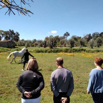 Equicoaching Conny Kadia MCT Mondequus Portugal - Oliveira do Hospital - Coaching