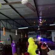DJ Arrepiado - Salvaterra de Magos - Montar ponis