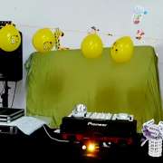 DJ Arrepiado - Salvaterra de Magos - Actuaciones especializadas