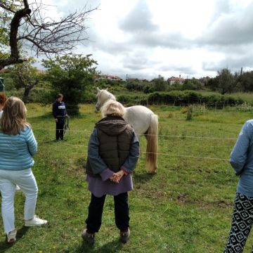 Equicoaching Conny Kadia MCT Mondequus Portugal - Oliveira do Hospital - Coaching Pessoal