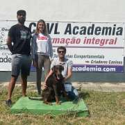 Bruno Rodrigues - Lisboa - Hotel de Animais de Estimação