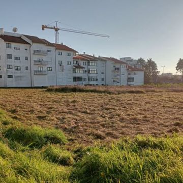 Alexandre Carvalho - Limpeza de Terrenos - Viseu - Tratamento de Relvado