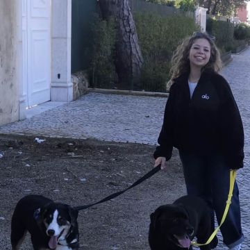 Pet Care em Cascais e arredores - Cascais - Dog Walking