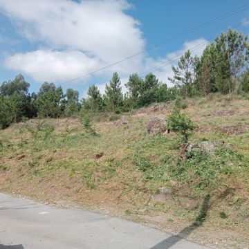 Alexandre Carvalho - Limpeza de Terrenos - Viseu - Jardinagem