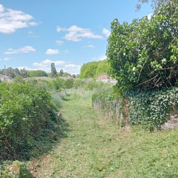 Alexandre Carvalho - Limpeza de Terrenos - Viseu - Plantação de Árvores
