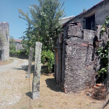 Alexandre Carvalho - Limpeza de Terrenos - Viseu - Remoção de Tronco de Árvore