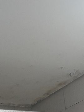 Drop Ceiling professional