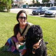 Pet sitting/Dog walking /creche canina Peniche e arredores - Amadora - Creche para Cães