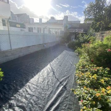 Cm Limpezas Florestais - Espinho - Corte e Aparação de Relvado