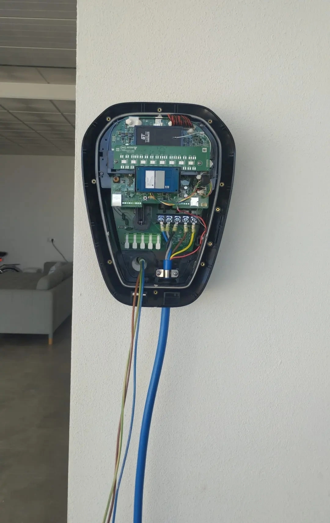 Cristiano Nunes - Caldas da Rainha - Hauswächter