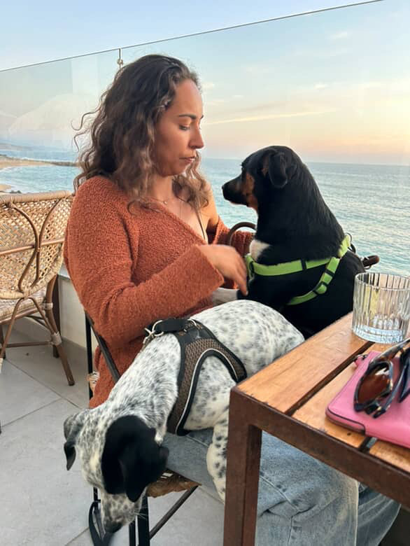 Serviços de Petsitting - Mafra - Treino de Animais