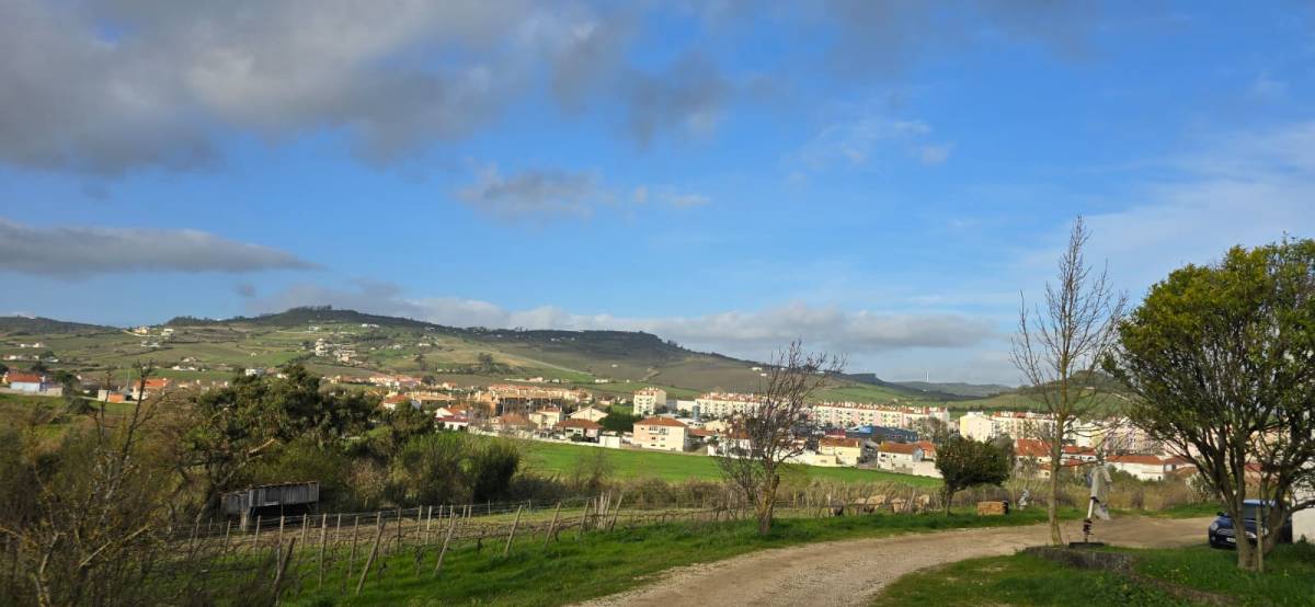 Bar da Quinta da Malafaia - Festas e Eventos - Arruda dos Vinhos - Veranstaltungsort mieten