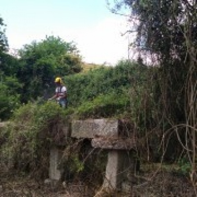 Florestas Renovadas - Braga - Trituración y eliminación de tocones