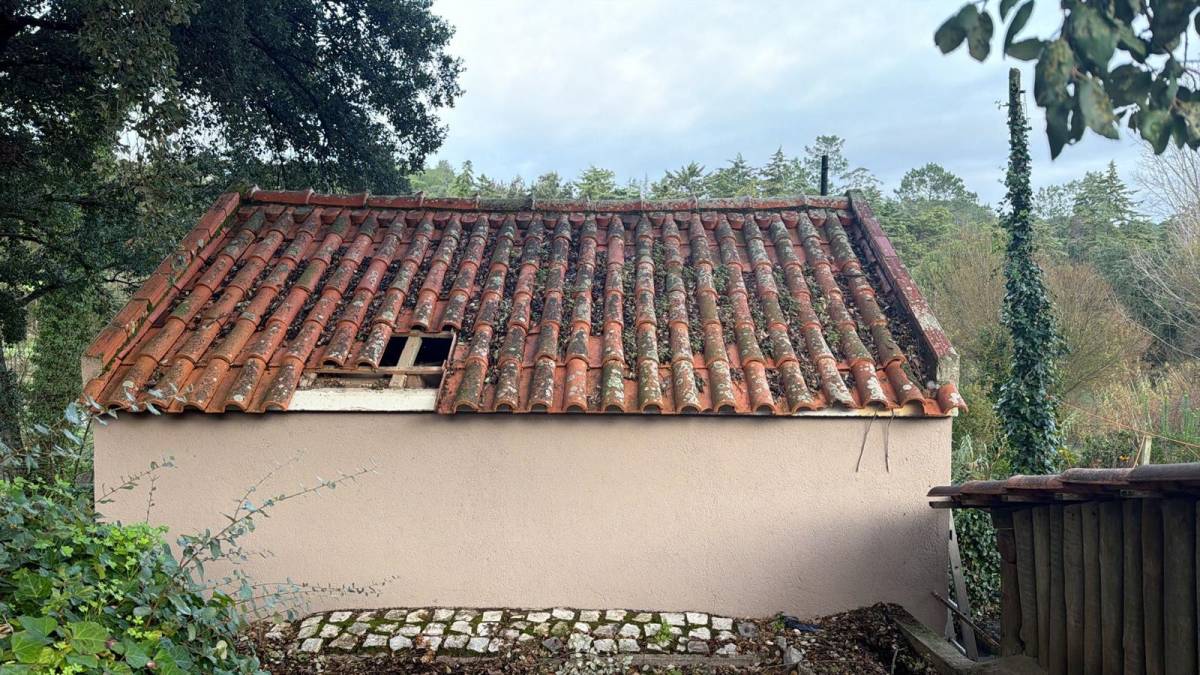 Tania    (HUDSON) - Setúbal - Außenanstrich