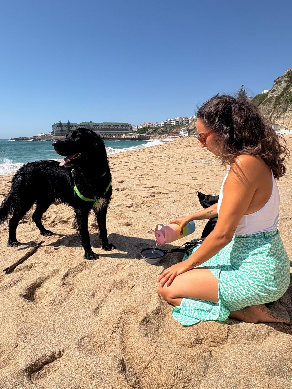 Serviços de Petsitting - Mafra - Dog Sitting