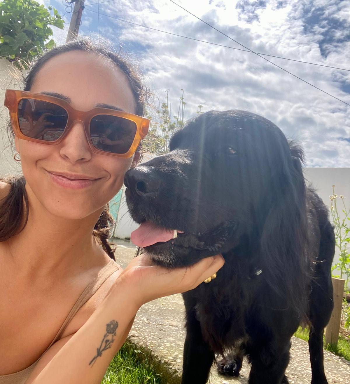 Serviços de Petsitting - Mafra - Dog Sitting