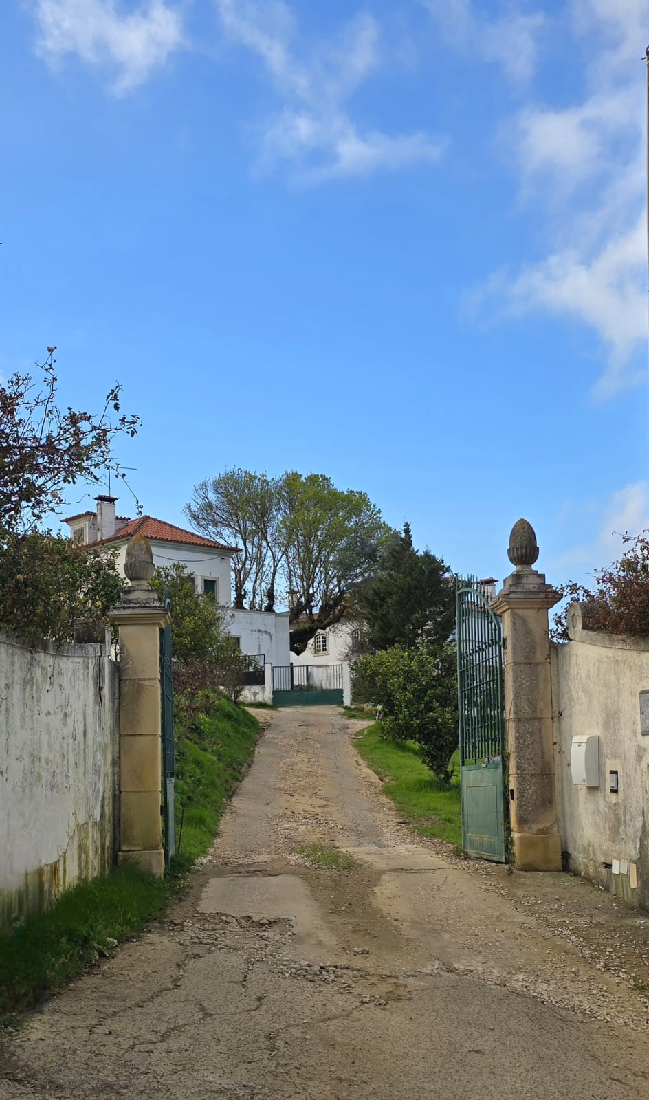Bar da Quinta da Malafaia - Festas e Eventos - Arruda dos Vinhos - Venue Service