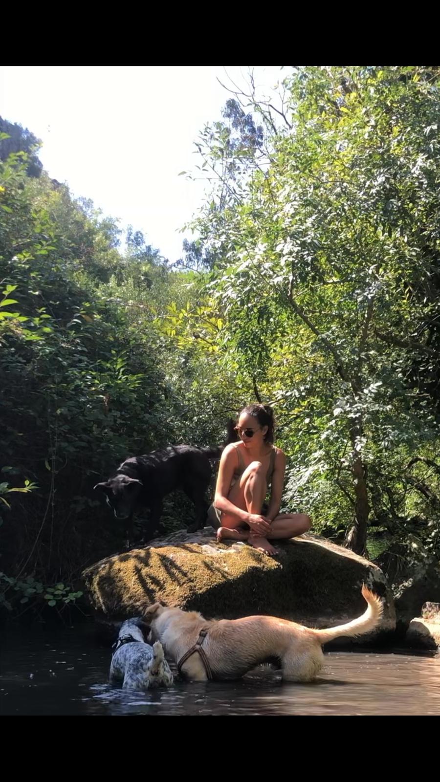 Serviços de Petsitting - Mafra - Pet Sitting