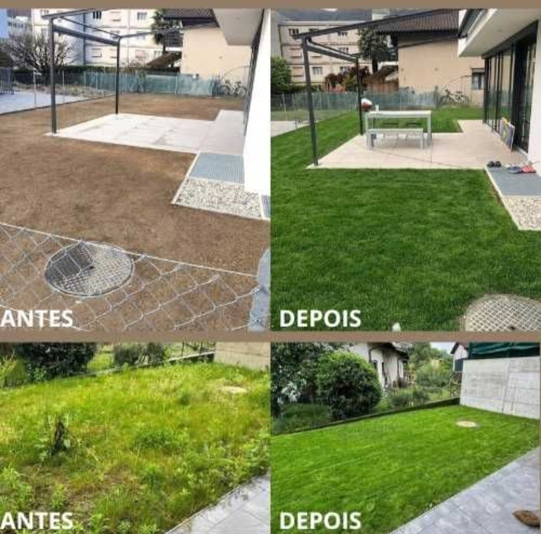 Daniartdesign - Portimão - Tree Trimming and Maintenance