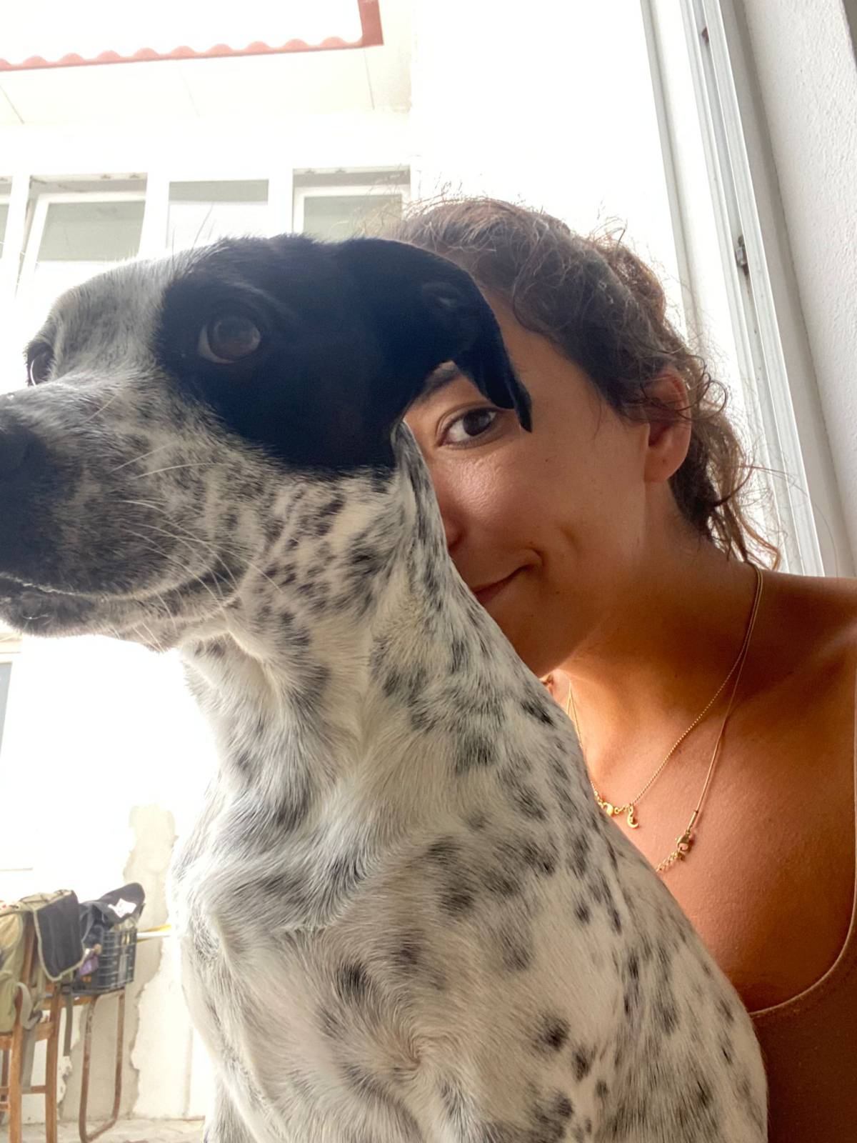 Serviços de Petsitting - Mafra - Hotel para Cães