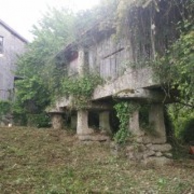 Florestas Renovadas - Braga - Mantenimiento de arbustos