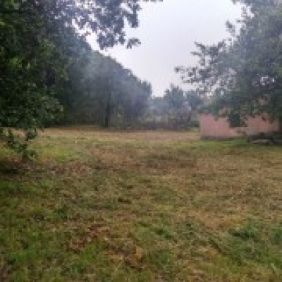Florestas Renovadas - Braga - Limpieza de terrenos